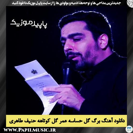 دانلود مداحی برگ گل حساسه عمر گل کوتاهه از حنیف طاهری